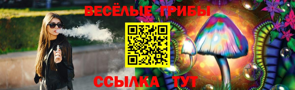 Галлюциногенные грибы Psilocybe Ульяновск